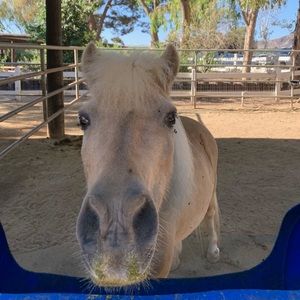 Meet your Posher, Javelin